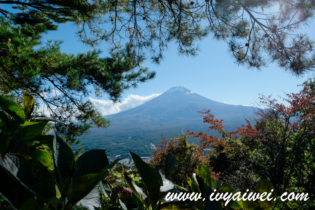 Japan Trip 2015: 9D8N Tokyo, Kawaguchiko & Kamakura