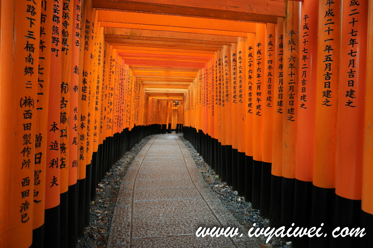 Things to do in Kyoto (Winter)