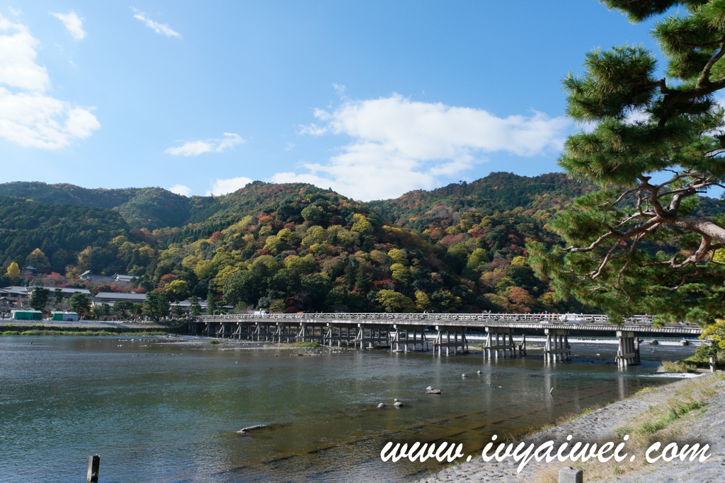 Things to do in Arashiyama (Autumn)