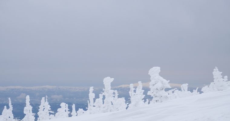 YAMAGATA: Zao Ropeway & Zao Monsters