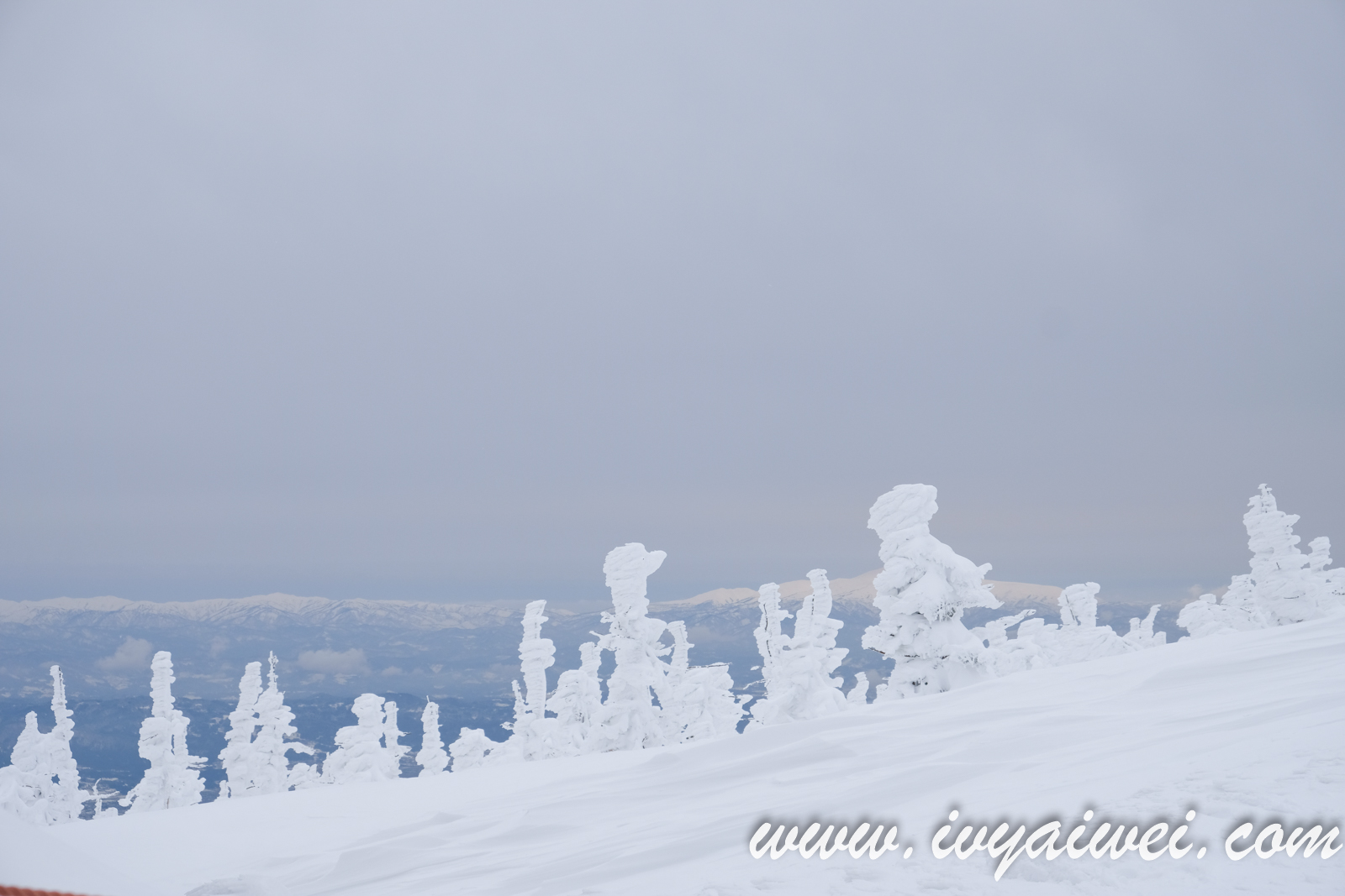 YAMAGATA: Zao Ropeway & Zao Monsters